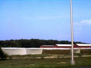 Shade Tobacco Barns in Connecticut